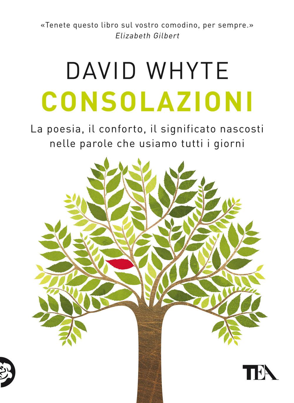 Vorderes Coverbild Consolazioni. La poesia, il conforto, il significato nascosti nelle parole che usiamo tutti i giorni
