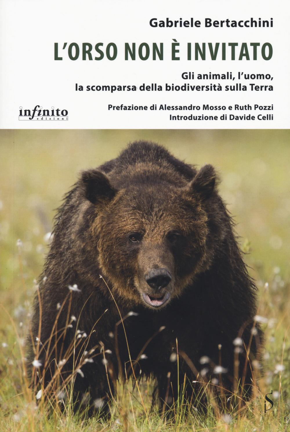 Vorderes Coverbild L' orso non è invitato. Gli animali, l'uomo, la scomparsa della biodiversità sulla Terra