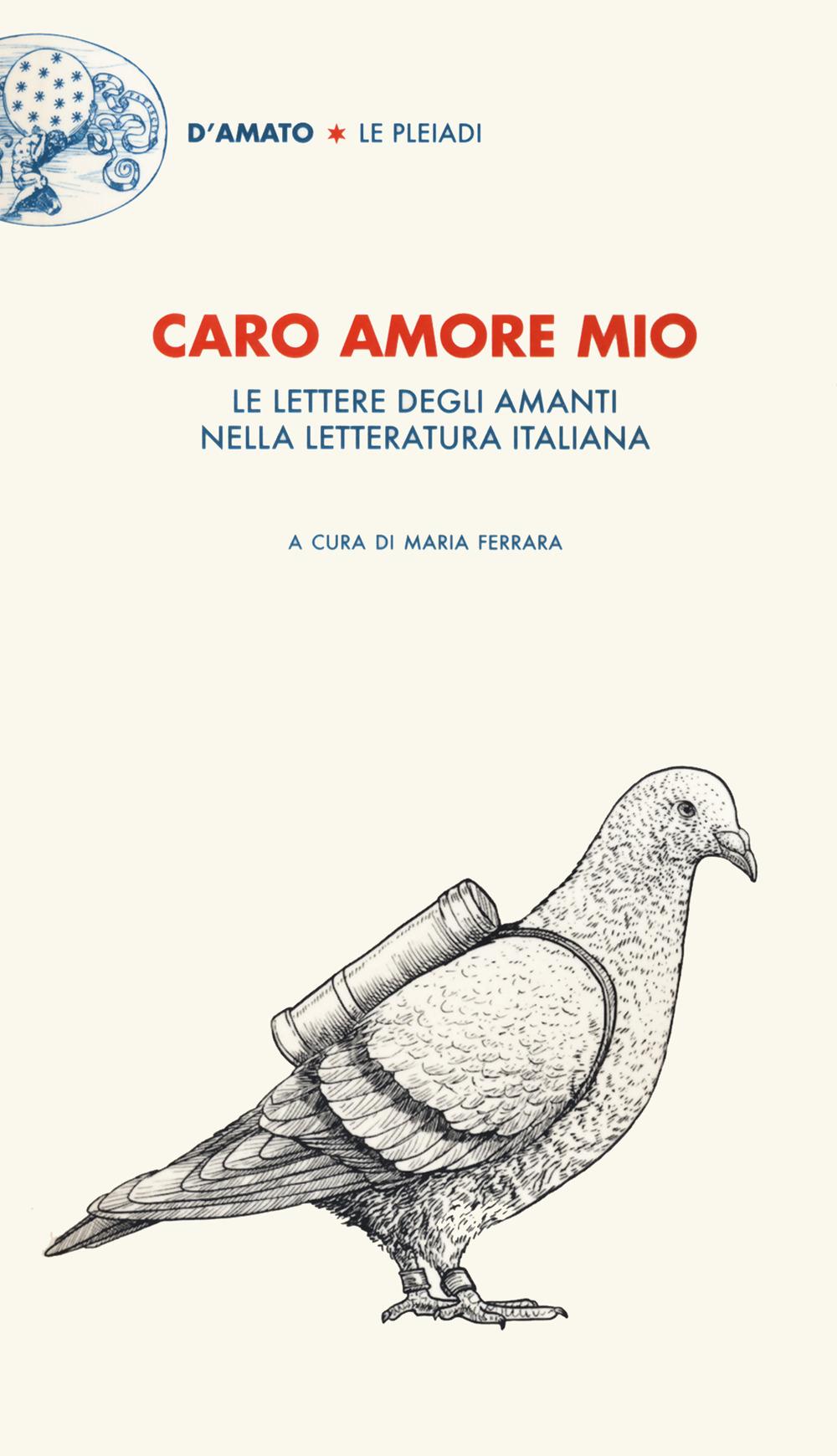 Vorderes Coverbild Caro amore mio. Le lettere degli amanti nella letteratura italiana