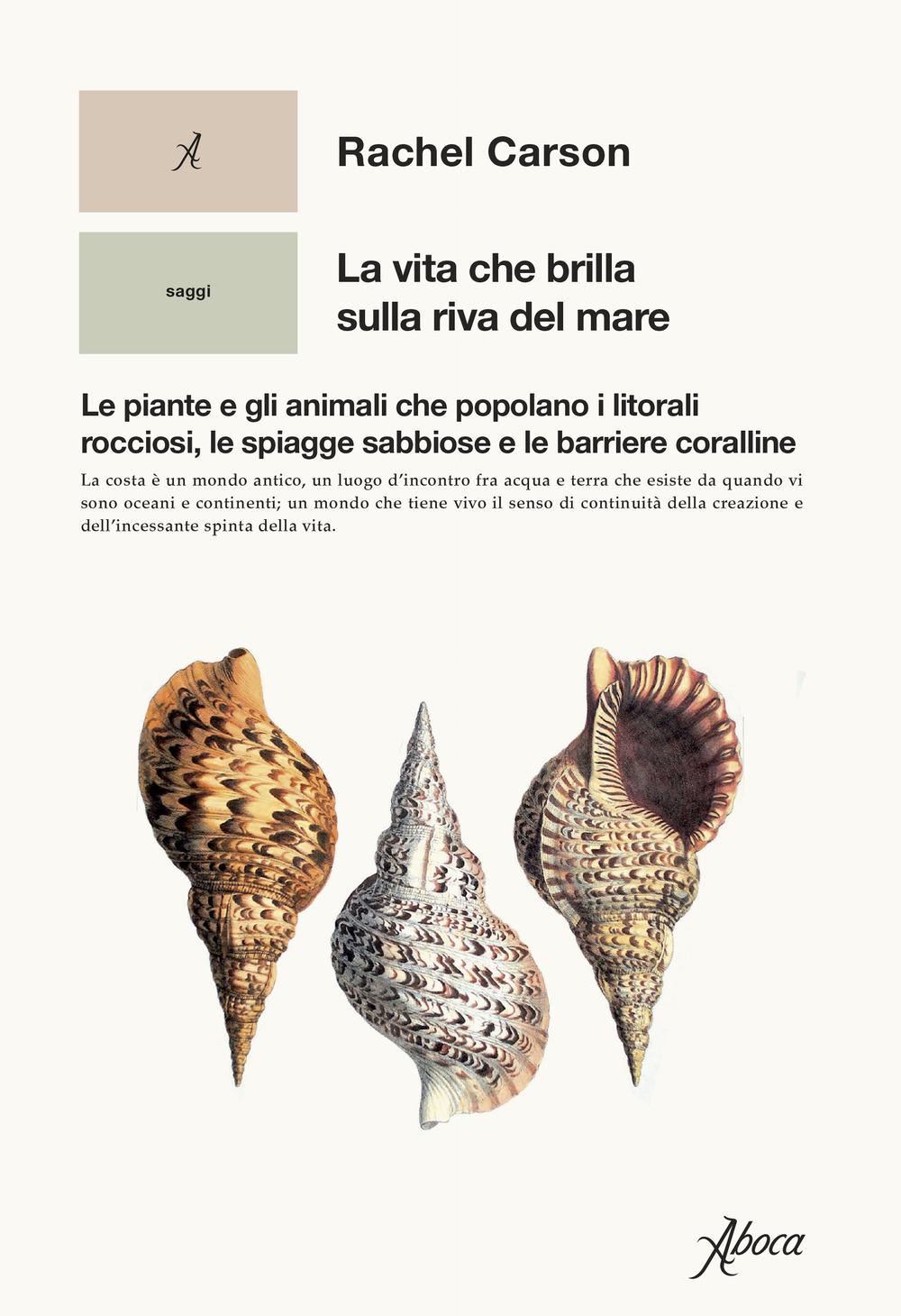 Vorderes Coverbild La vita che brilla sulla riva del mare. Le piante e gli animali che popolano i litorali rocciosi, le spiagge sabbiose e le barriere coralline