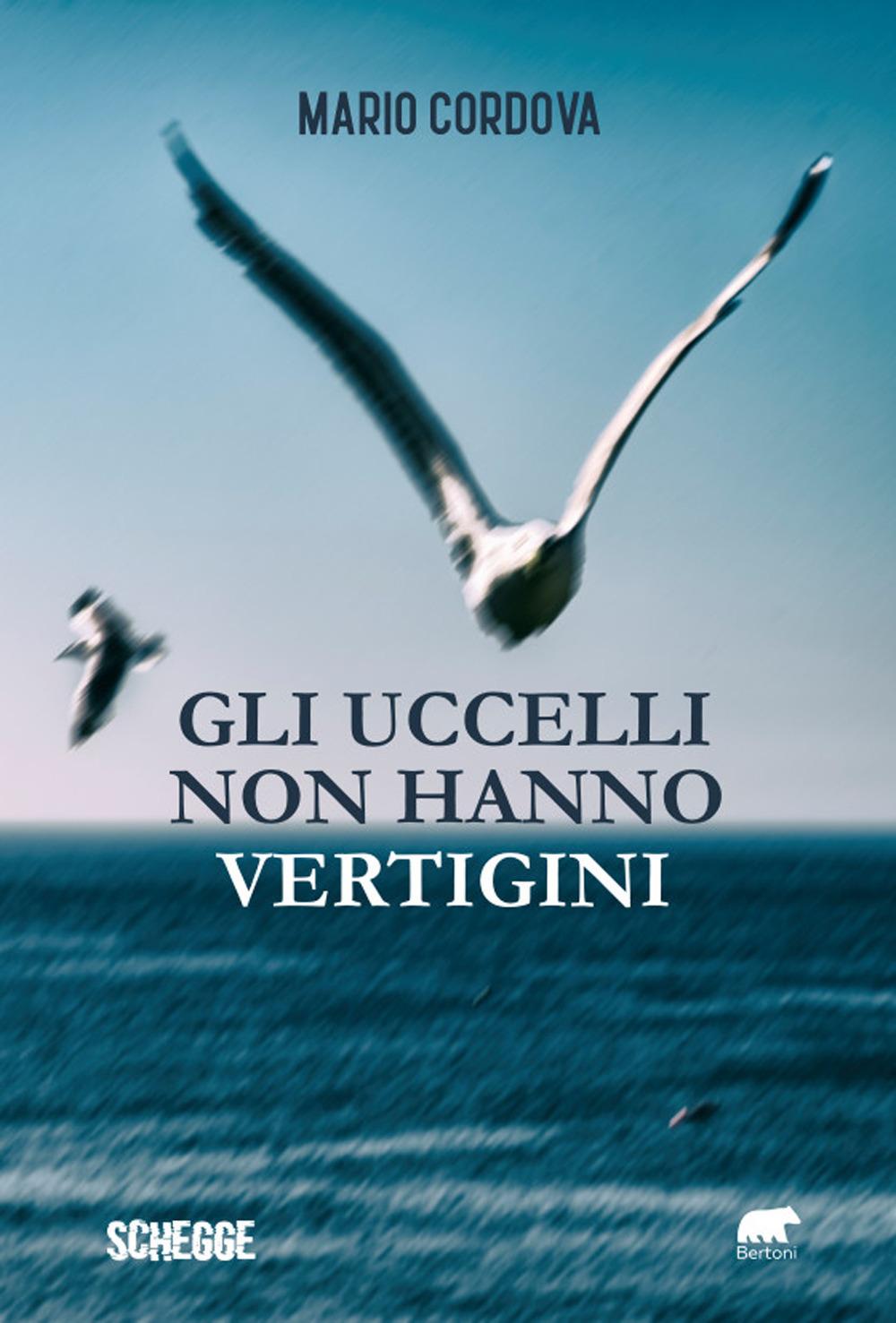 Vorderes Coverbild Gli uccelli non hanno vertigini