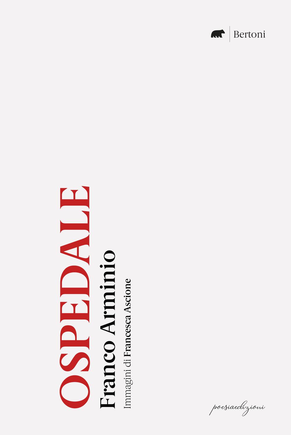 Vorderes Coverbild Ospedale