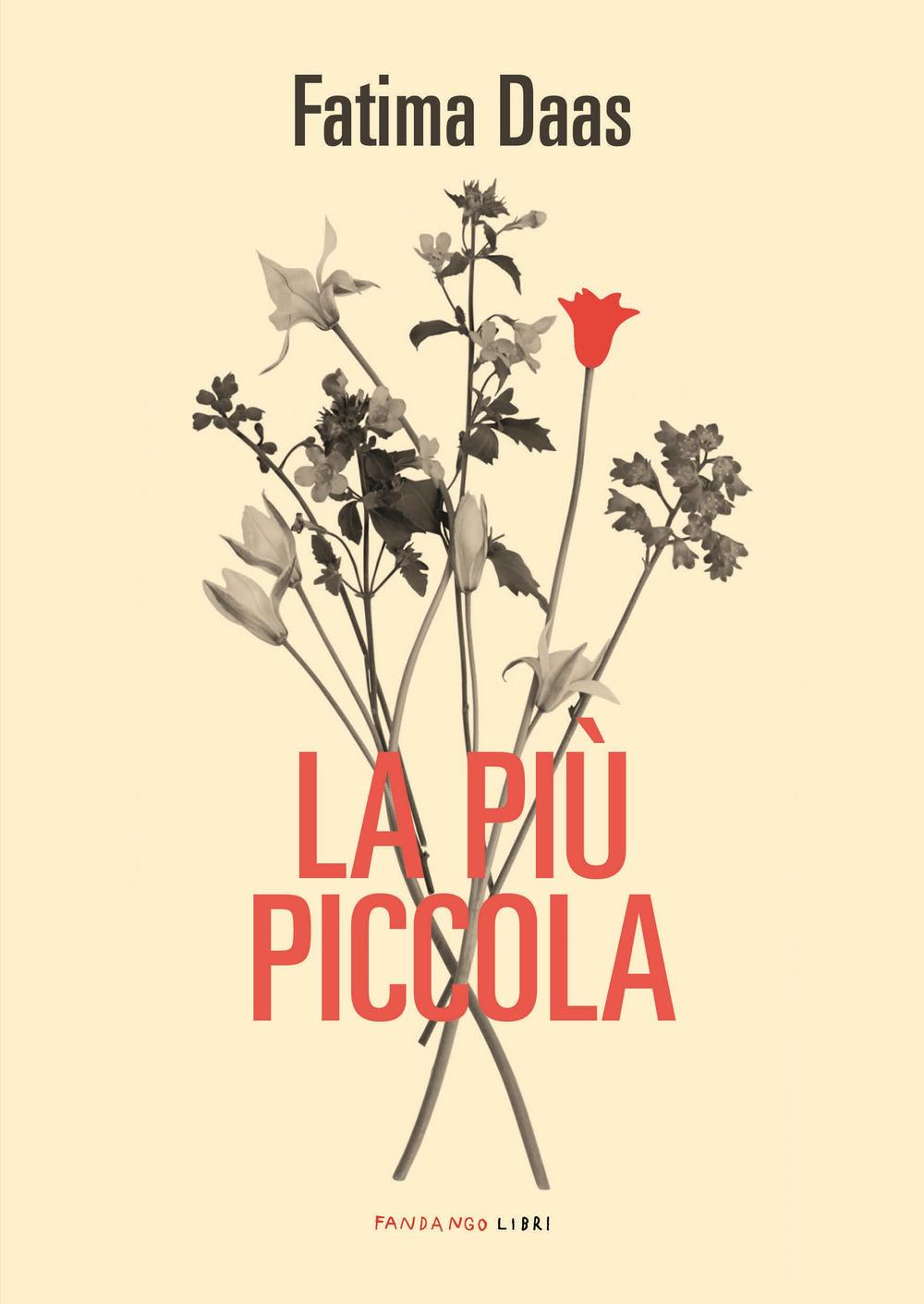 Vorderes Coverbild La più piccola