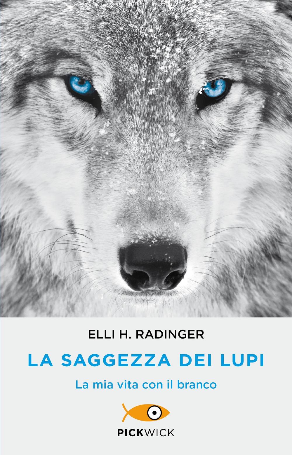 Vorderes Coverbild La saggezza dei lupi. La mia vita con il branco
