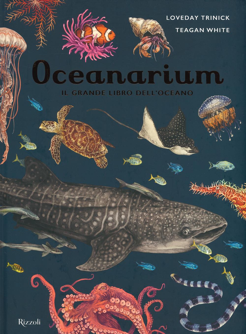 Vorderes Coverbild Oceanarium. Il grande libro dell'oceano