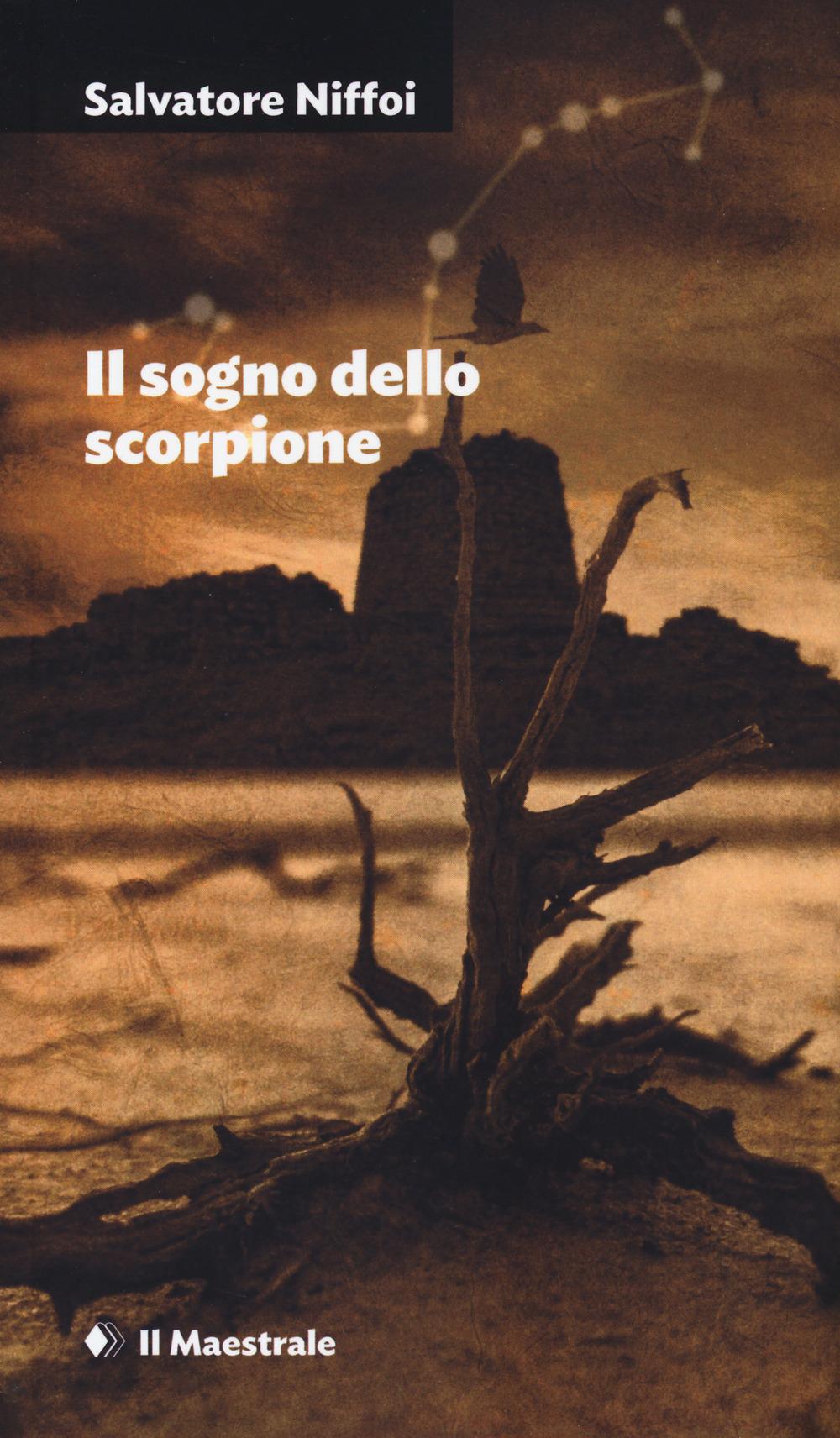 Vorderes Coverbild Il sogno dello scorpione