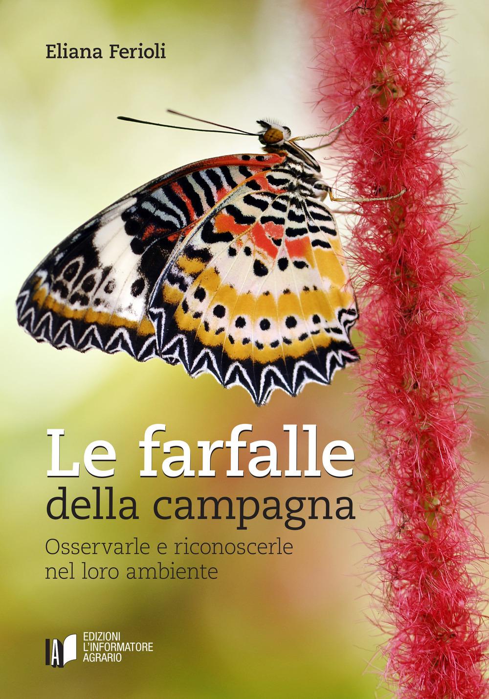 Vorderes Coverbild Le farfalle della campagna. Osservarle e riconoscerle nel loro ambiente