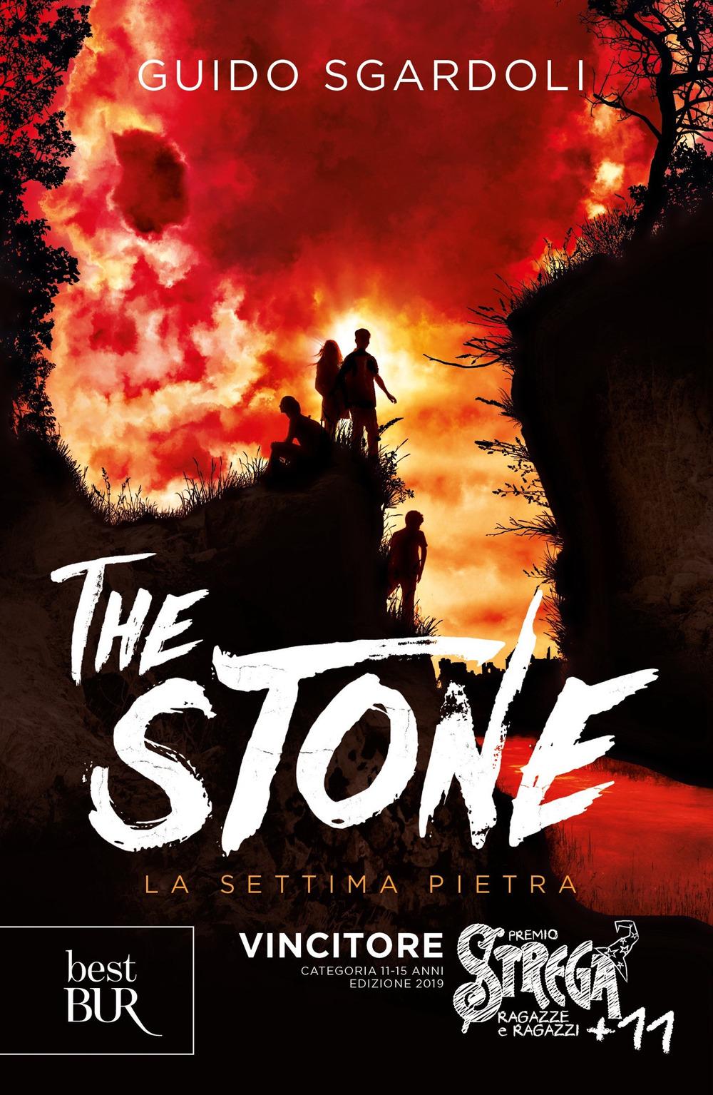 Vorderes Coverbild The stone. La settima pietra