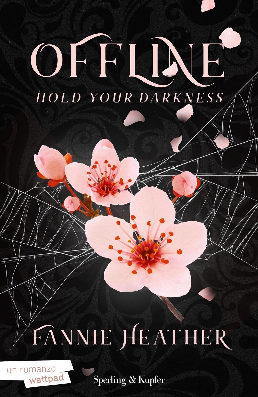Vorderes Coverbild Hold your darkness. Offline