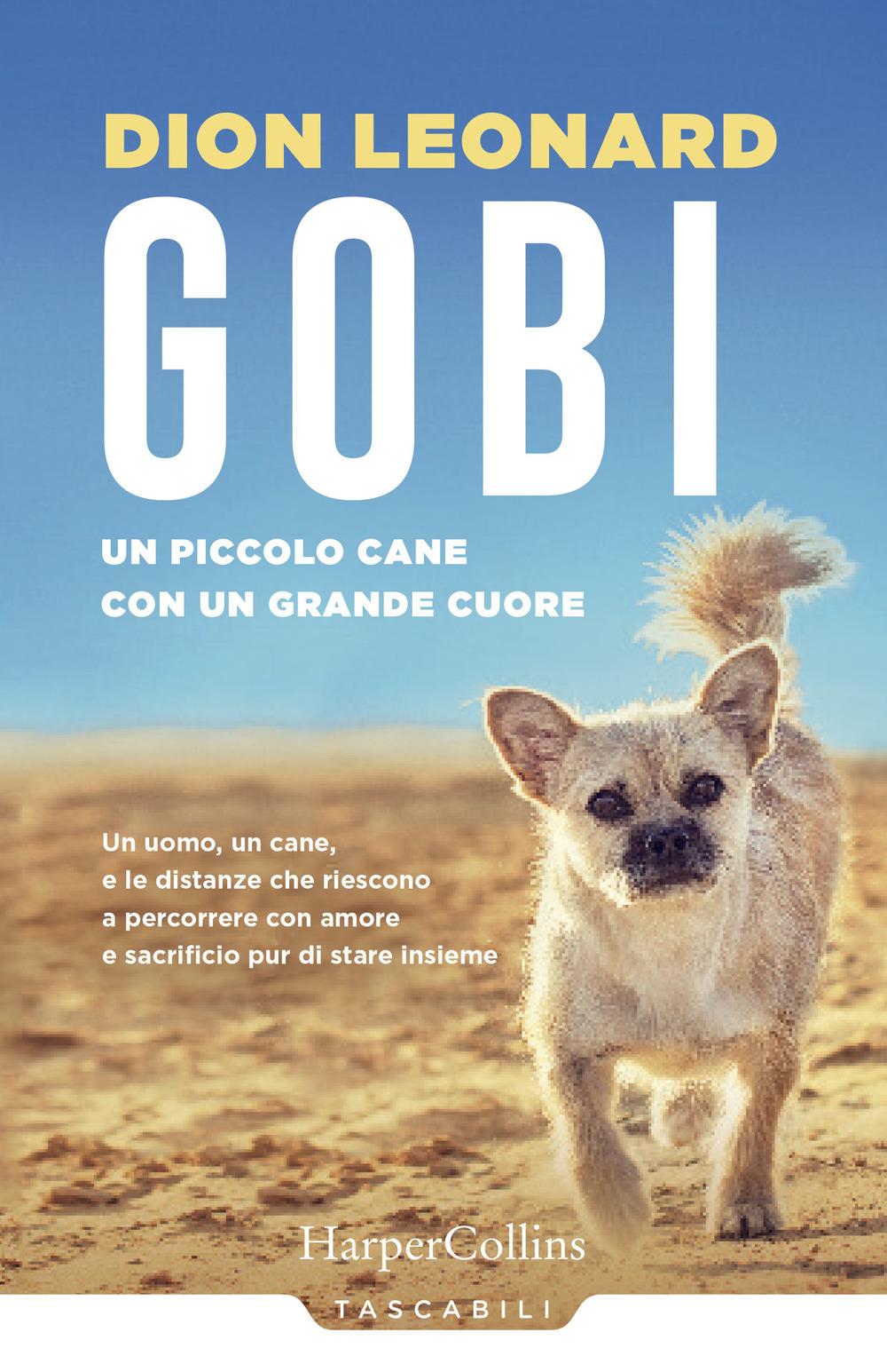 Vorderes Coverbild Gobi. Un piccolo cane con un grande cuore