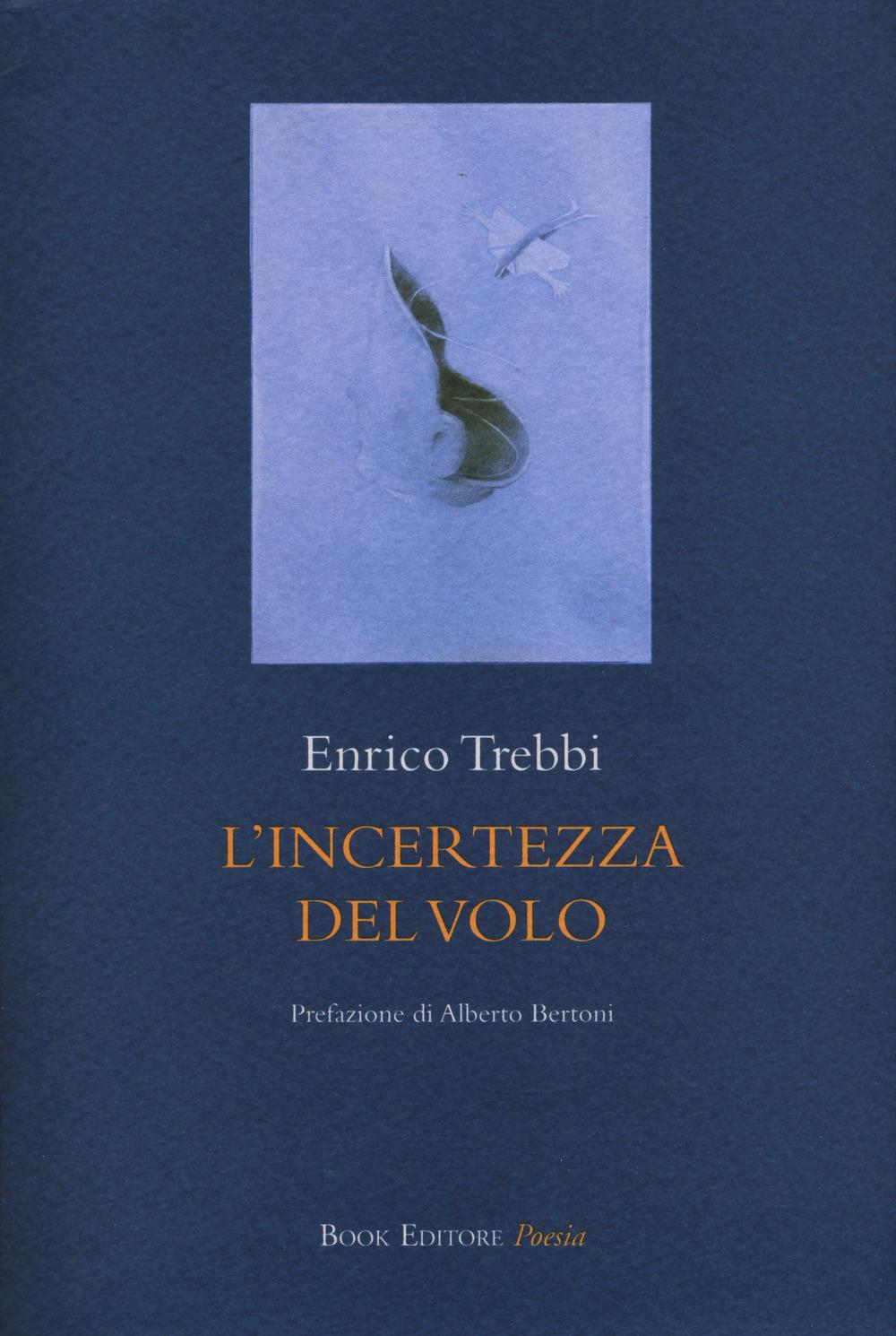 Vorderes Coverbild L' incertezza del volo