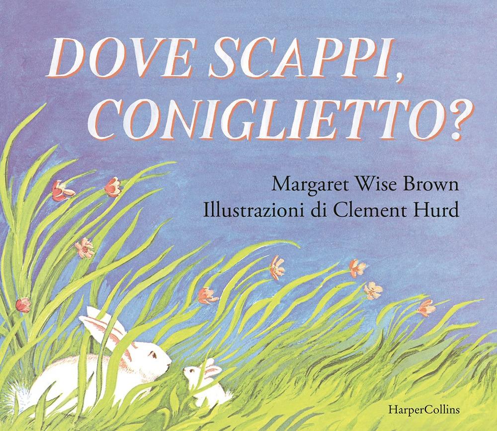 Vorderes Coverbild Dove scappi, coniglietto?