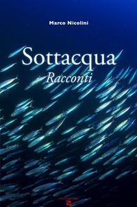 Vorderes Coverbild Sottacqua