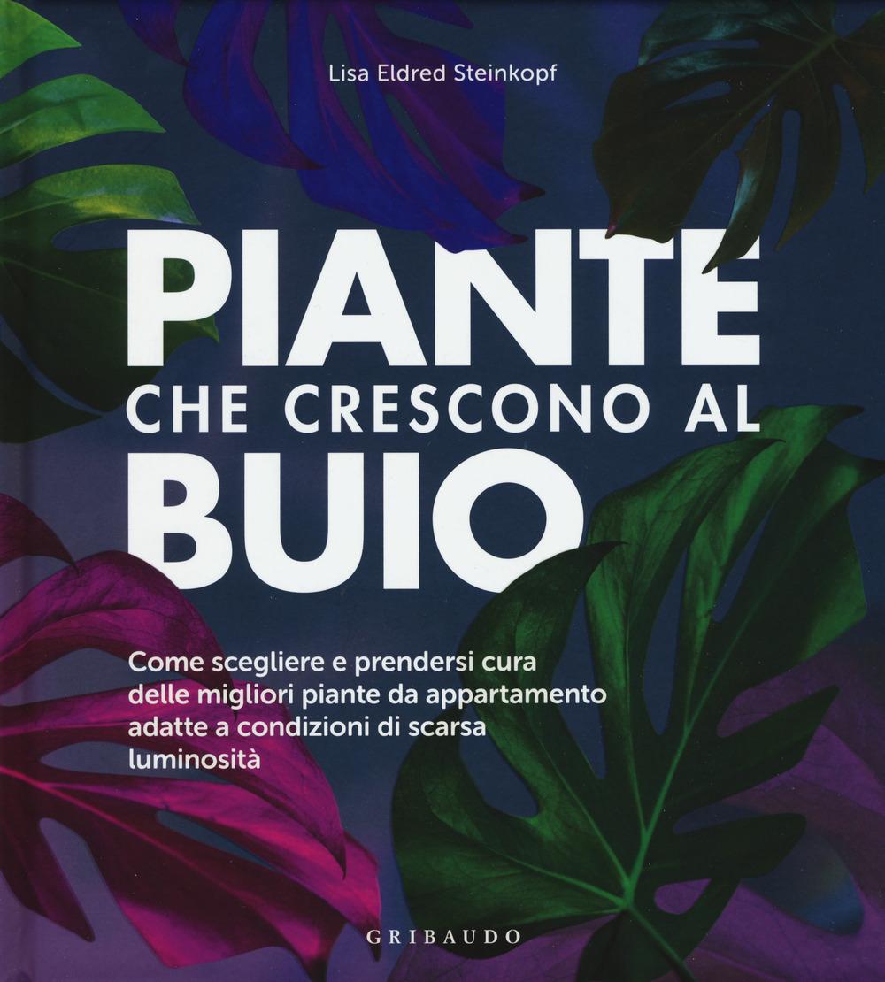 Vorderes Coverbild Piante che crescono al buio. Come scegliere e prendersi cura delle migliori piante d'appartamento adatte a condizioni di scarsa luminosità