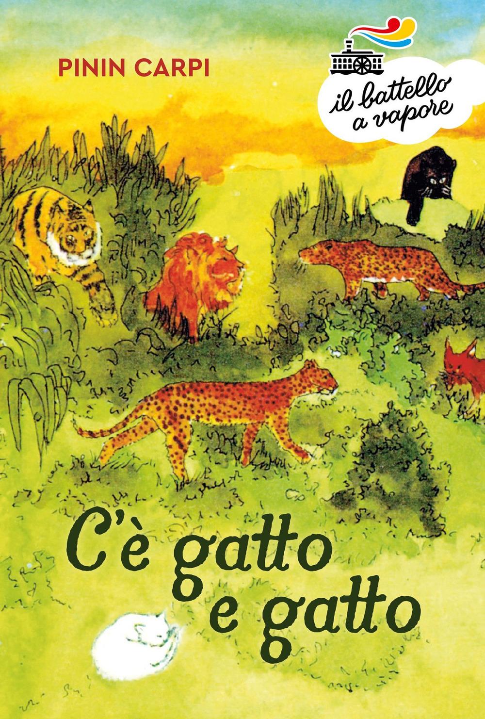 Vorderes Coverbild C'è gatto e gatto