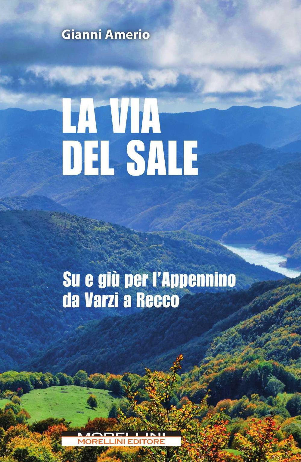 Vorderes Coverbild La via del sale. Su e giù per l'Appennino da Varzi a Recco