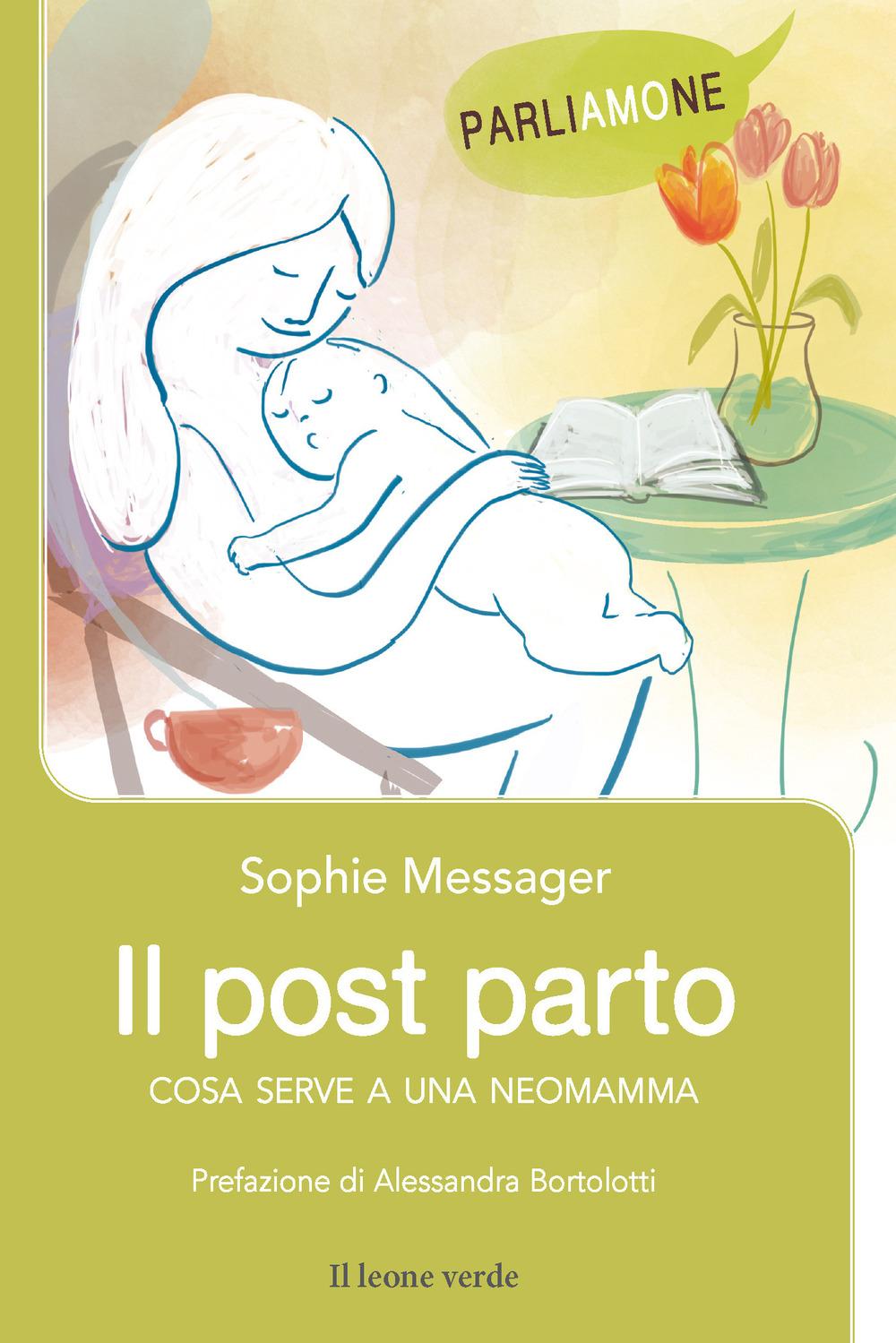 Vorderes Coverbild Il post parto. Cosa serve a una neomamma