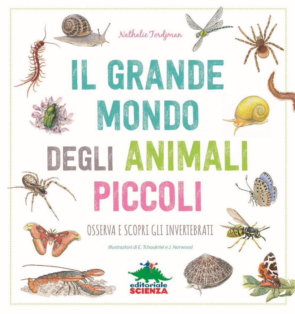 Vorderes Coverbild Il grande mondo degli animali piccoli. Osserva e scopri gli invertebrati