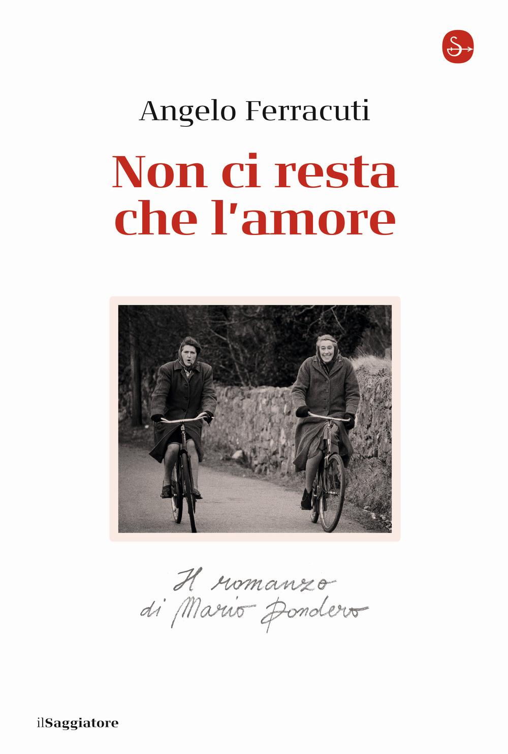 Vorderes Coverbild Non ci resta che l'amore. Il romanzo di Mario Dondero