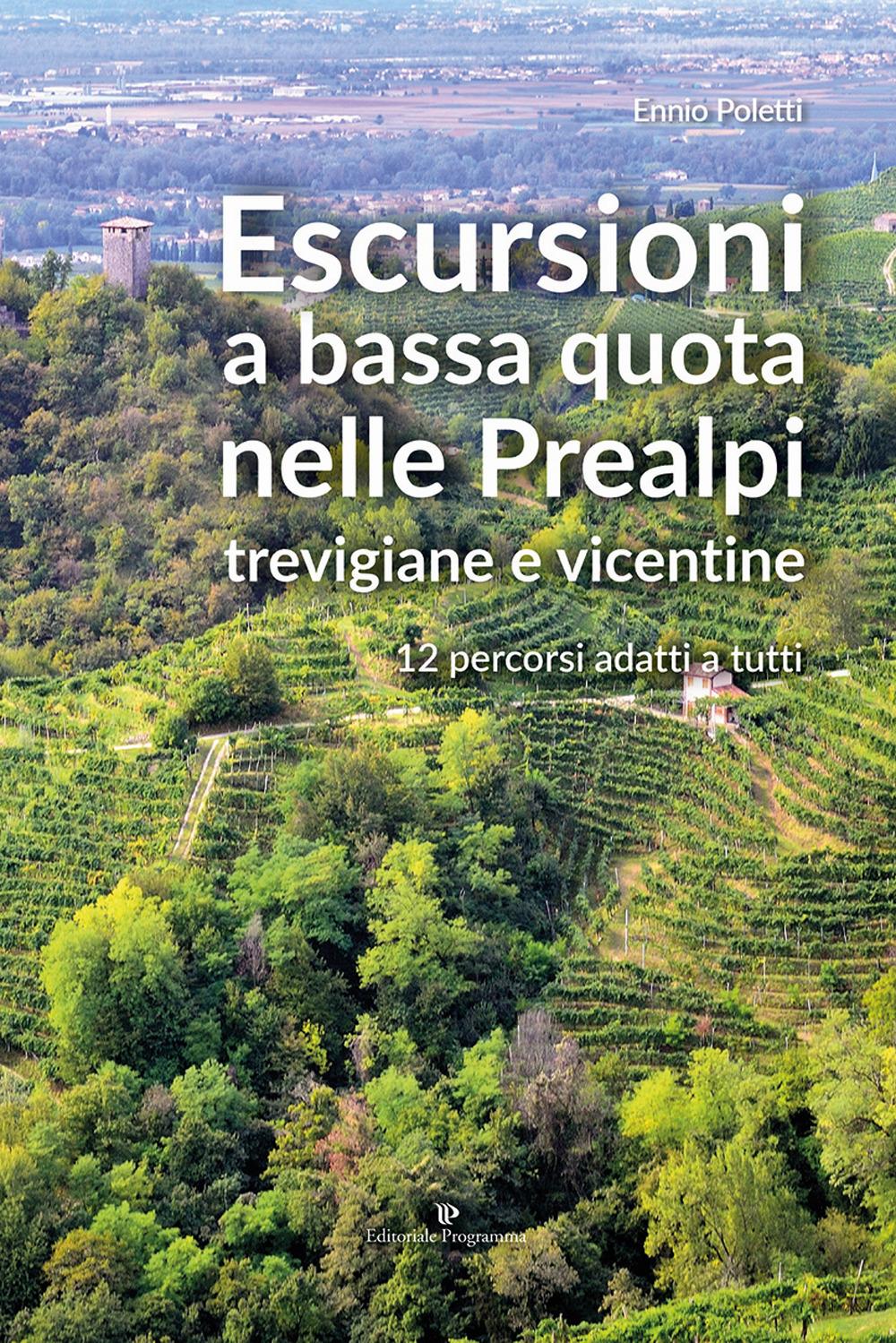 Vorderes Coverbild Escursioni a bassa quota nelle Prealpi Trevigiane e Vicentine. 12 percorsi adatti a tutti