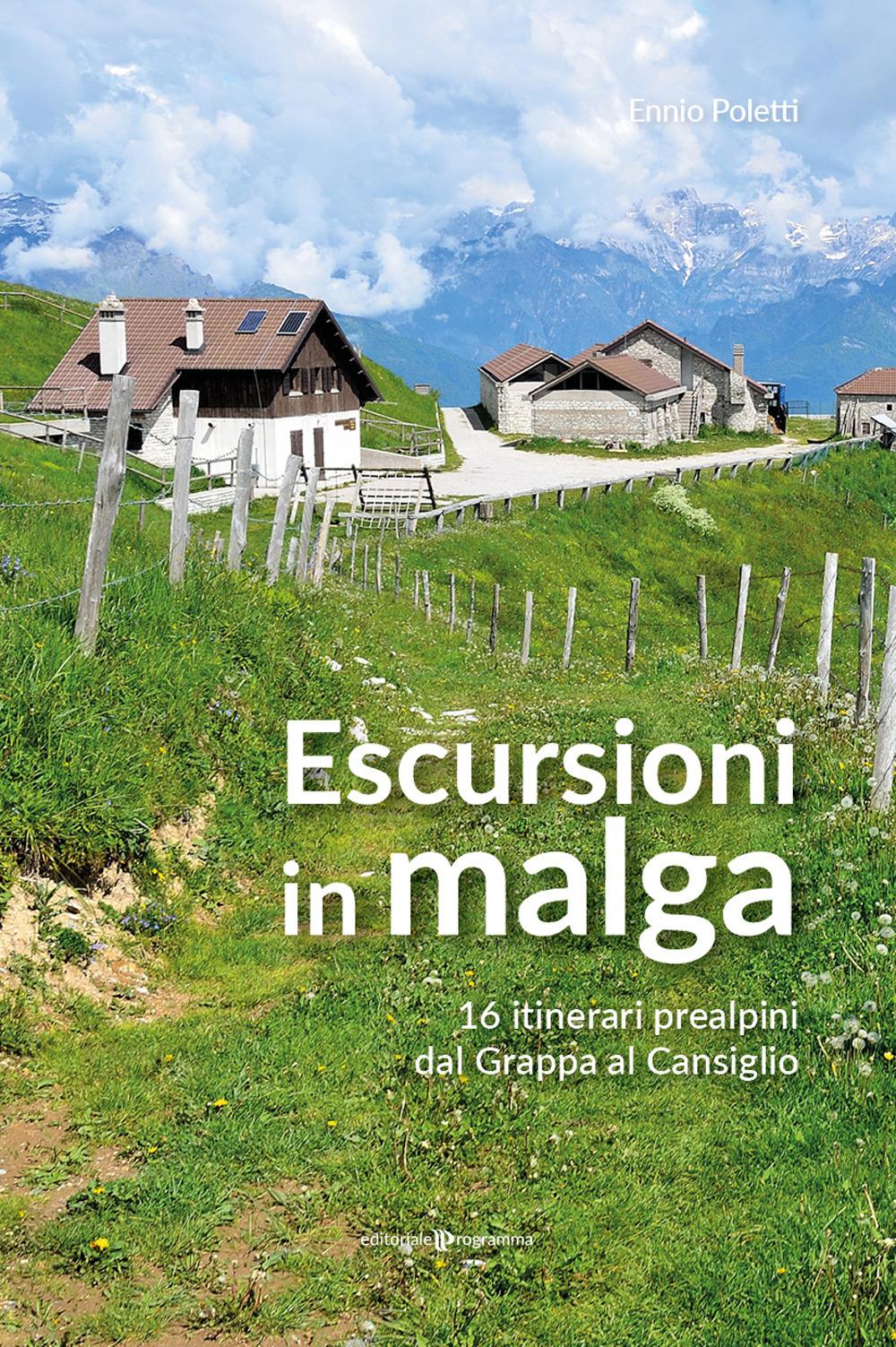 Vorderes Coverbild Escursioni in Malga. 16 itinerari prealpini dal Grappa al Cansiglio