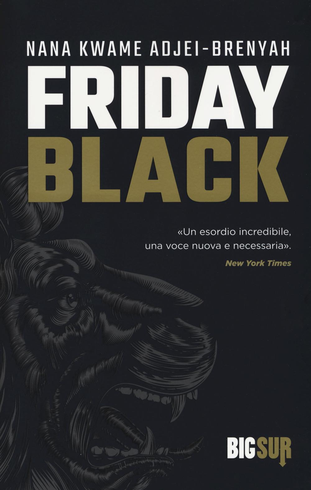 Vorderes Coverbild Friday black