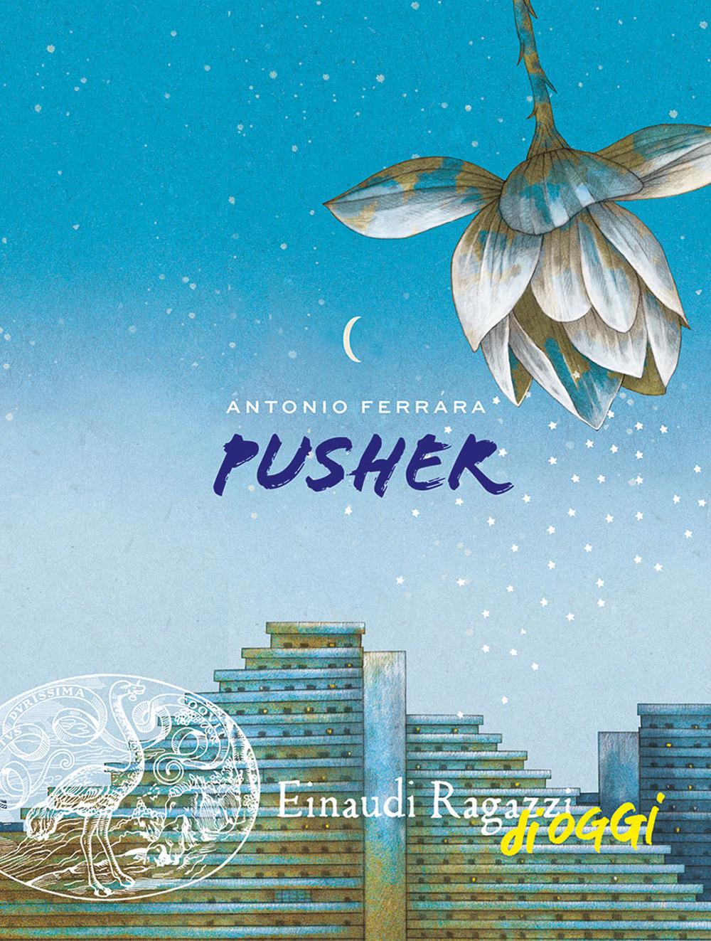 Vorderes Coverbild Pusher