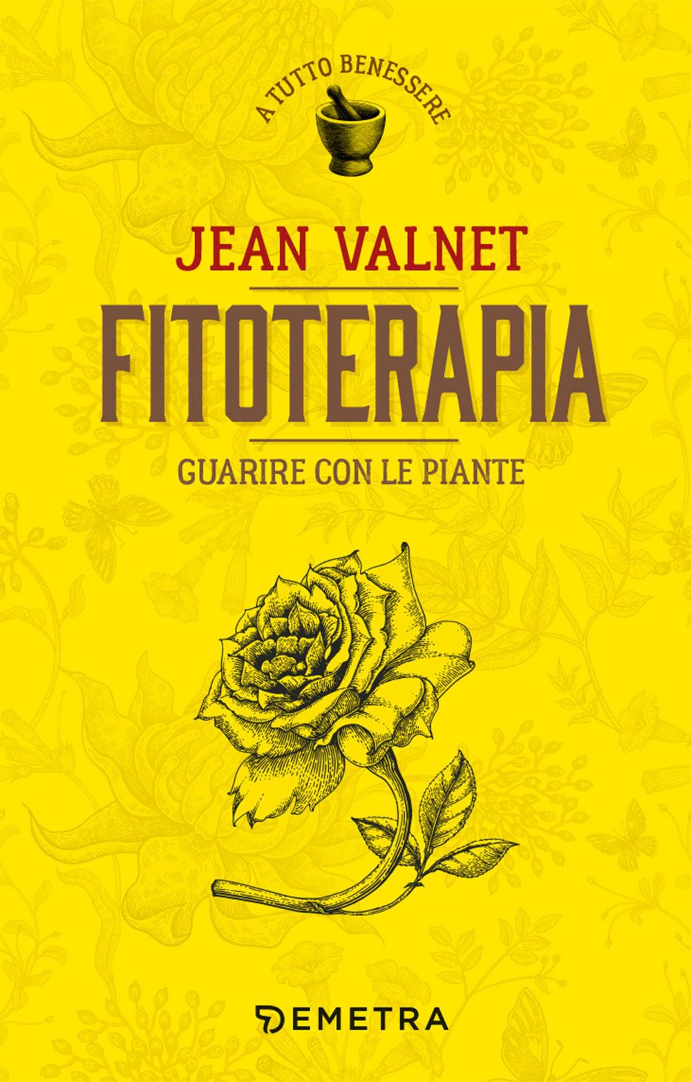 Vorderes Coverbild Fitoterapia. Guarire con le piante
