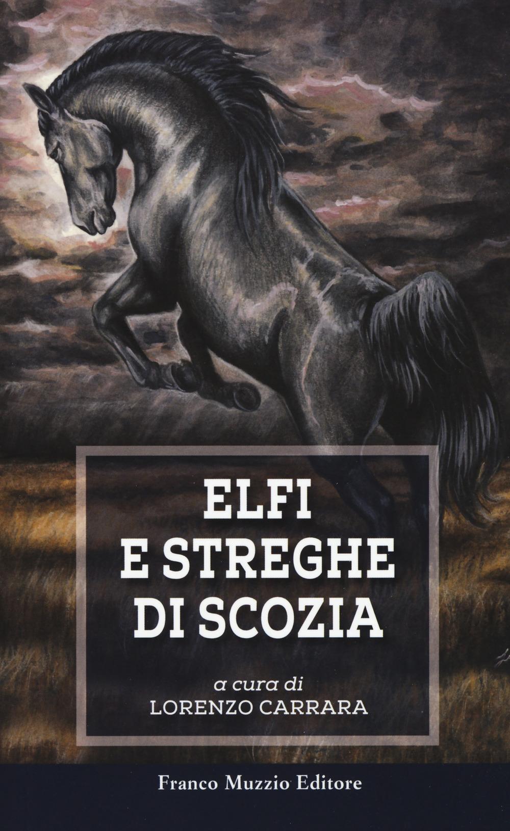 Vorderes Coverbild Elfi e streghe di Scozia