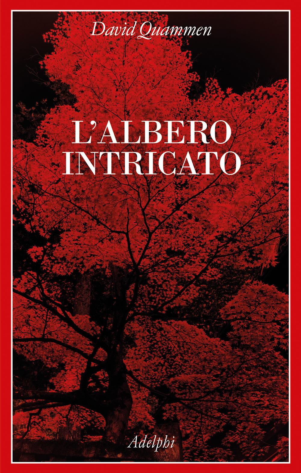Vorderes Coverbild L' albero intricato