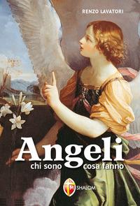 Vorderes Coverbild Angeli chi sono, cosa fanno