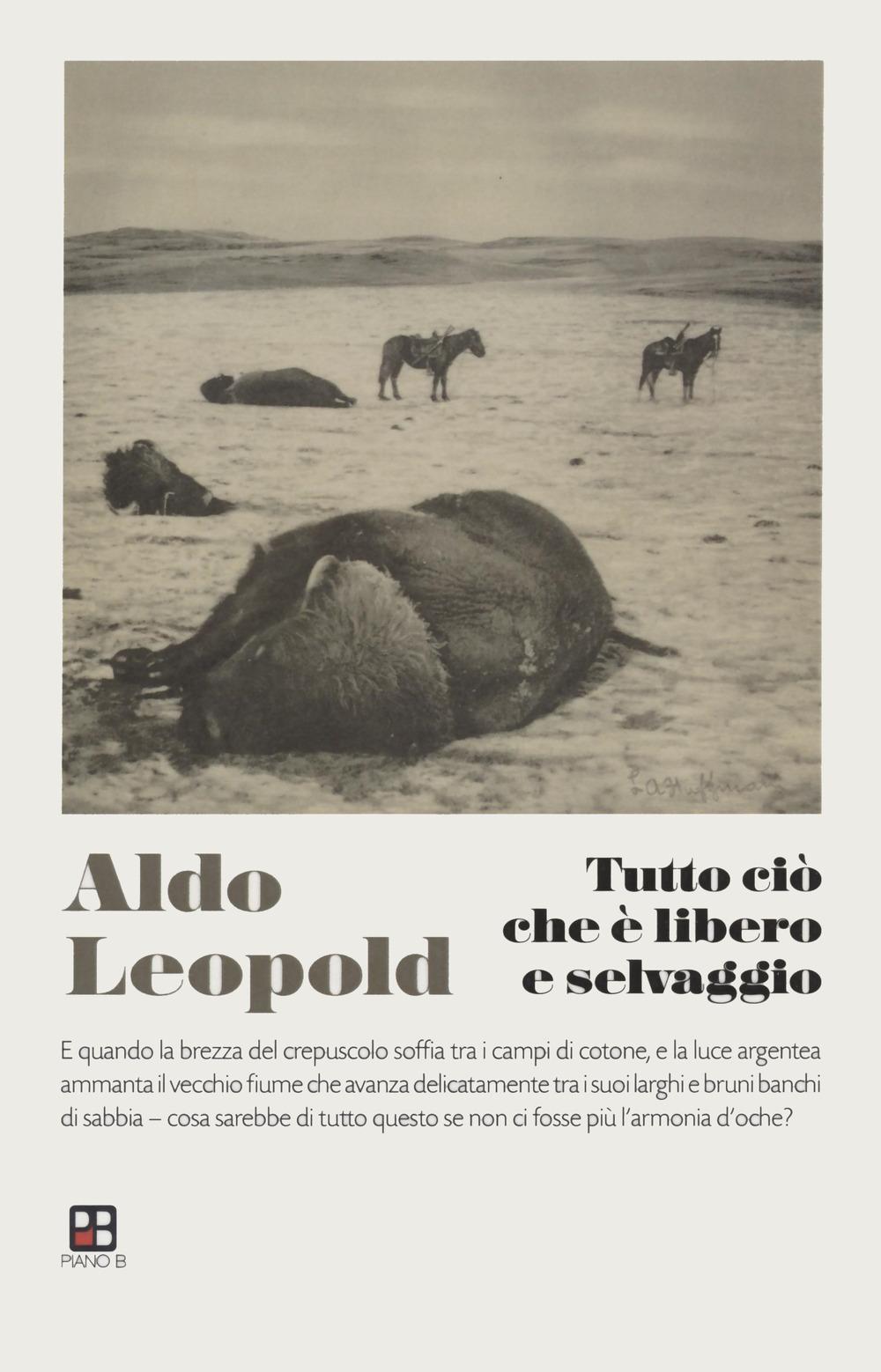 Vorderes Coverbild Tutto ciò che è libero e selvaggio
