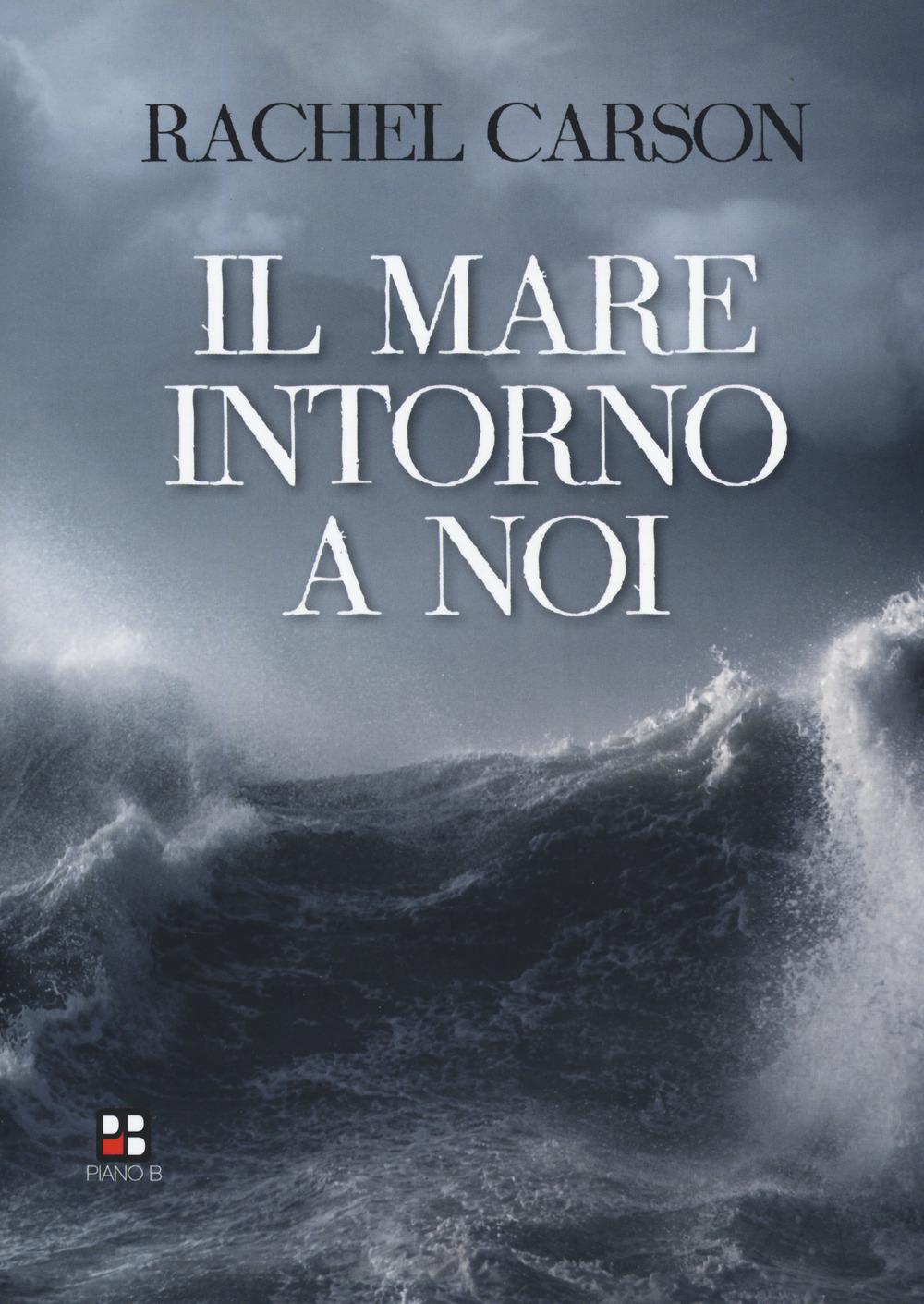 Vorderes Coverbild Il mare intorno a noi