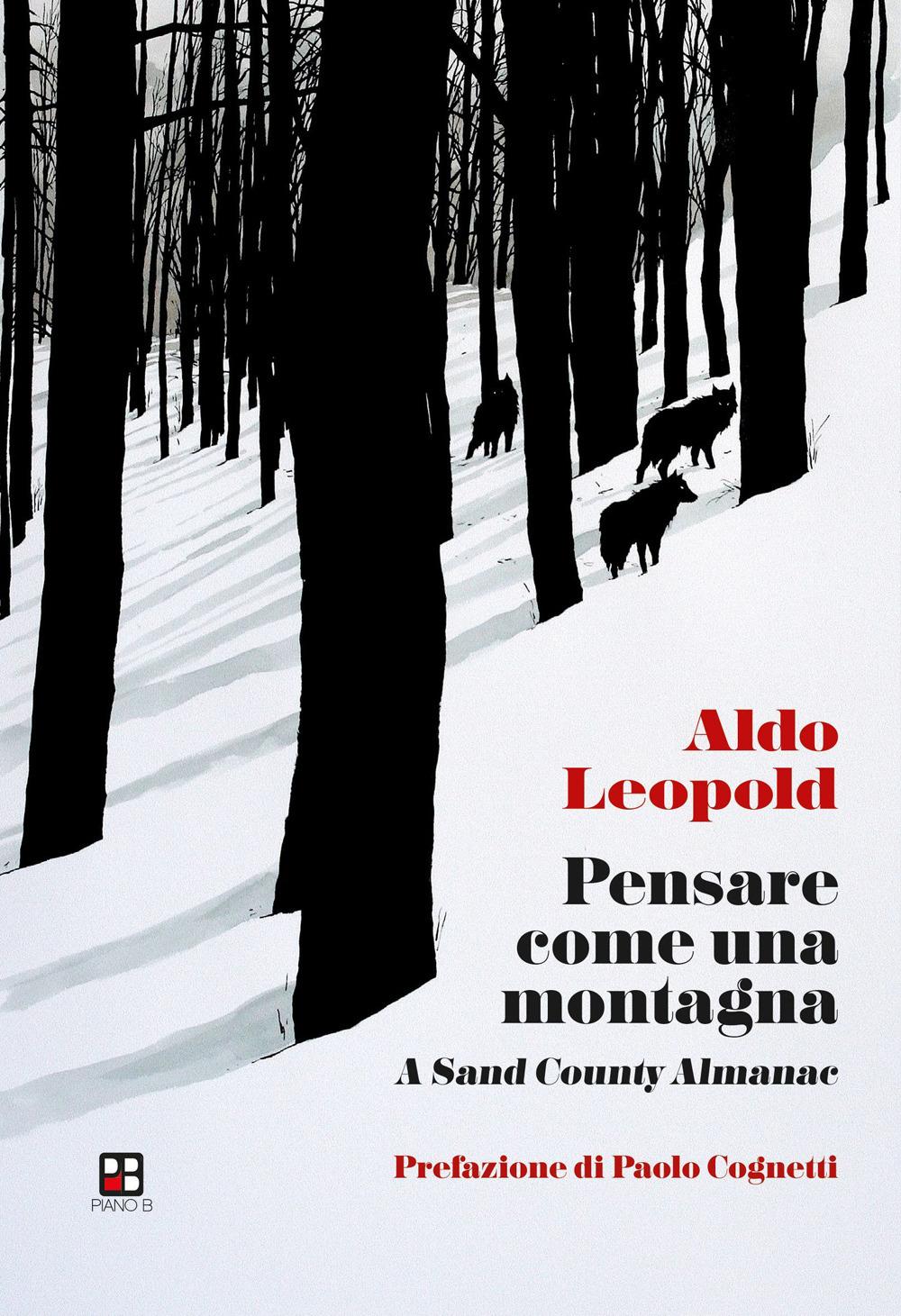 Vorderes Coverbild Pensare come una montagna. A sand county almanac