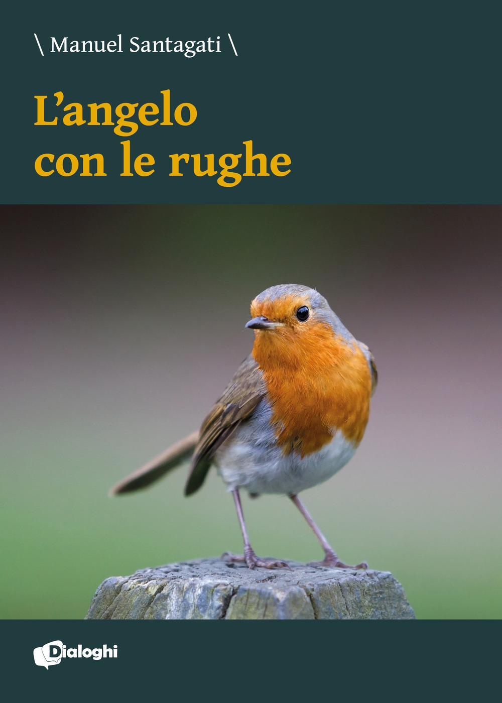 Vorderes Coverbild L' angelo con le rughe