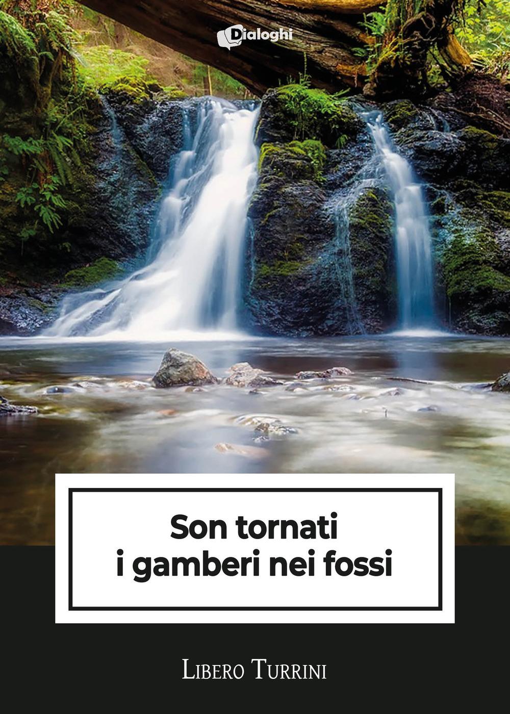 Vorderes Coverbild Son tornati i gamberi nei fossi