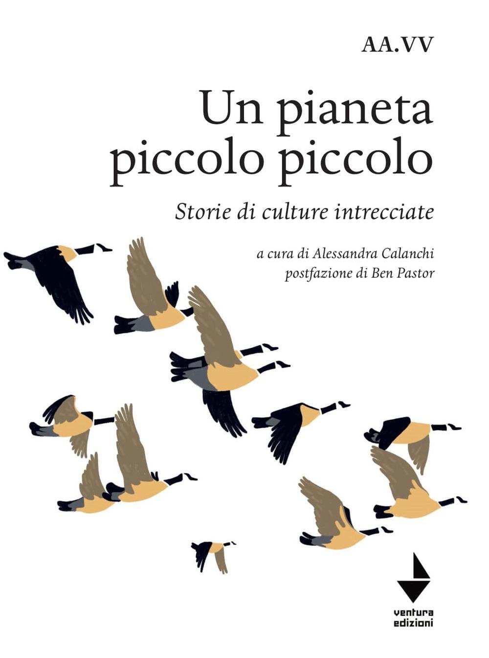 Vorderes Coverbild Un pianeta piccolo piccolo