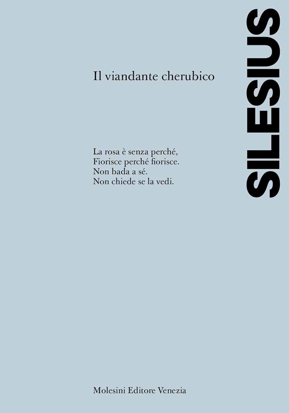Vorderes Coverbild Il viandante cherubico