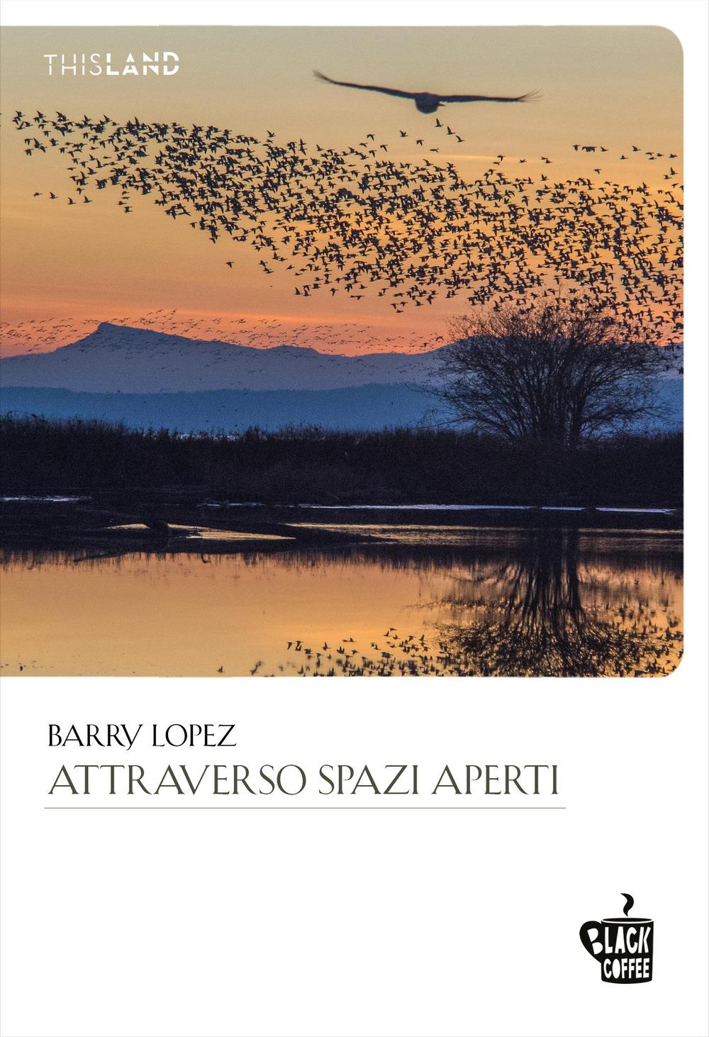 Vorderes Coverbild Attraverso spazi aperti