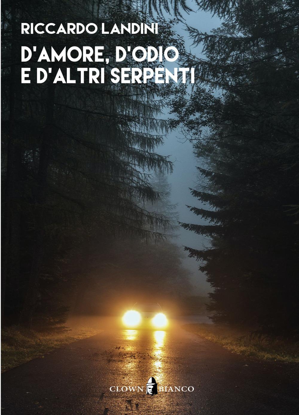 Vorderes Coverbild D'amore, d'odio e d'altri serpenti
