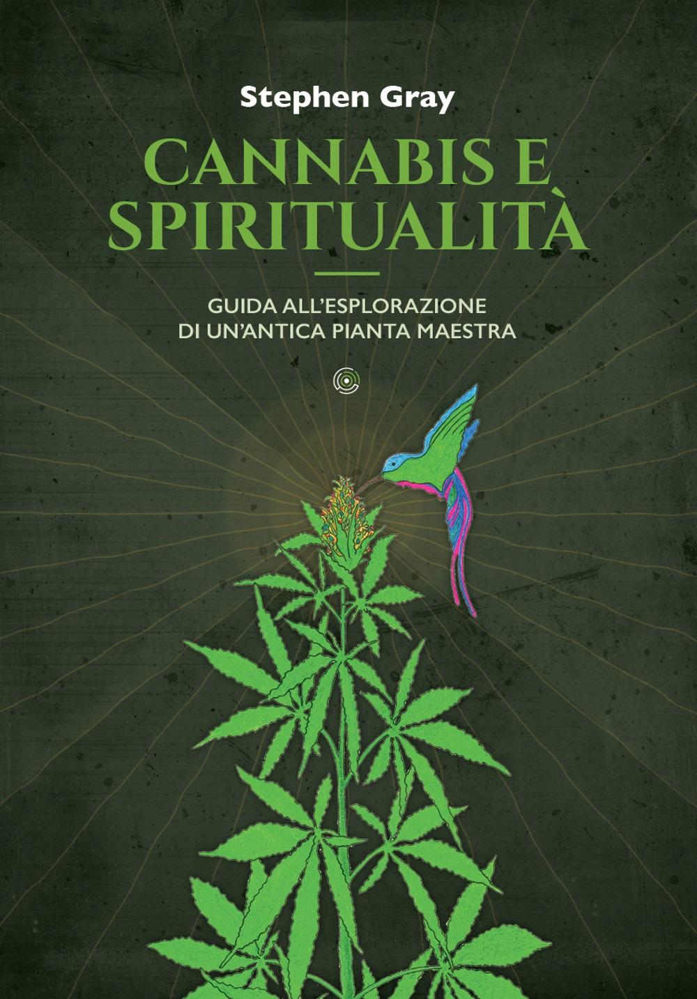 Vorderes Coverbild Cannabis e spiritualità. Guida all'esplorazione di un'antica pianta maestra