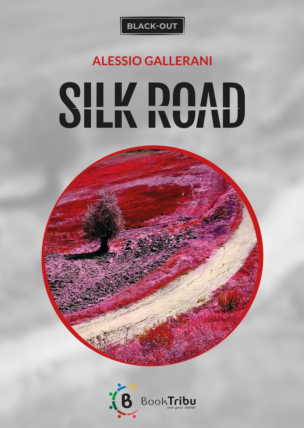 Vorderes Coverbild Silk road