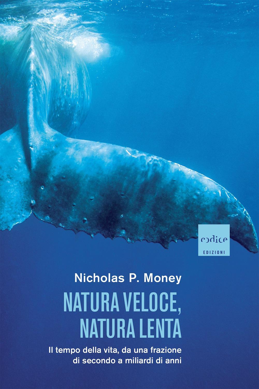 Vorderes Coverbild Natura veloce, natura lenta. Il tempo della vita, da una frazione di secondo a miliardi di anni
