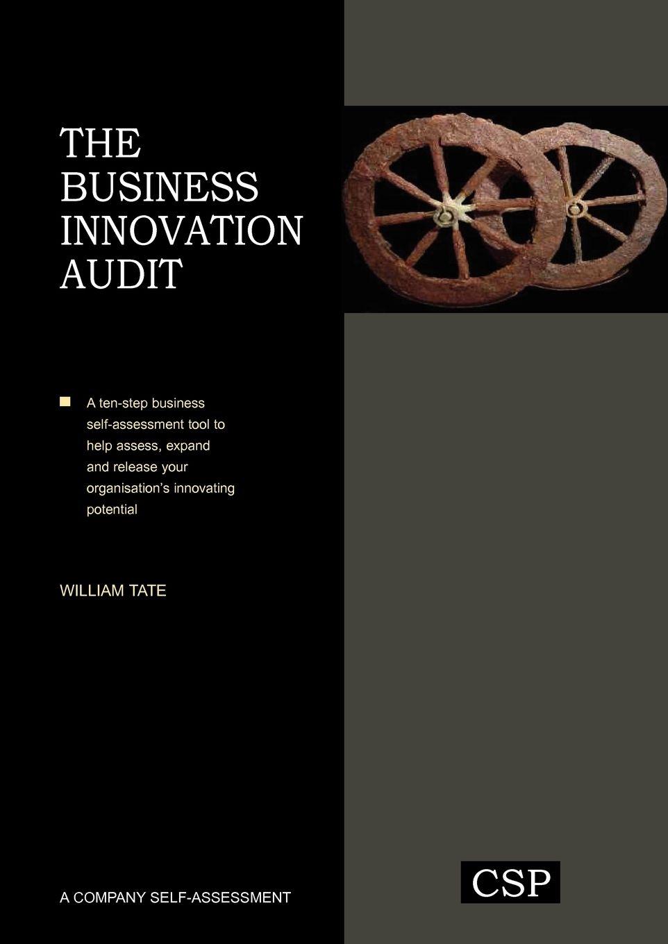 Vorderes Coverbild The Business Innovation Audit