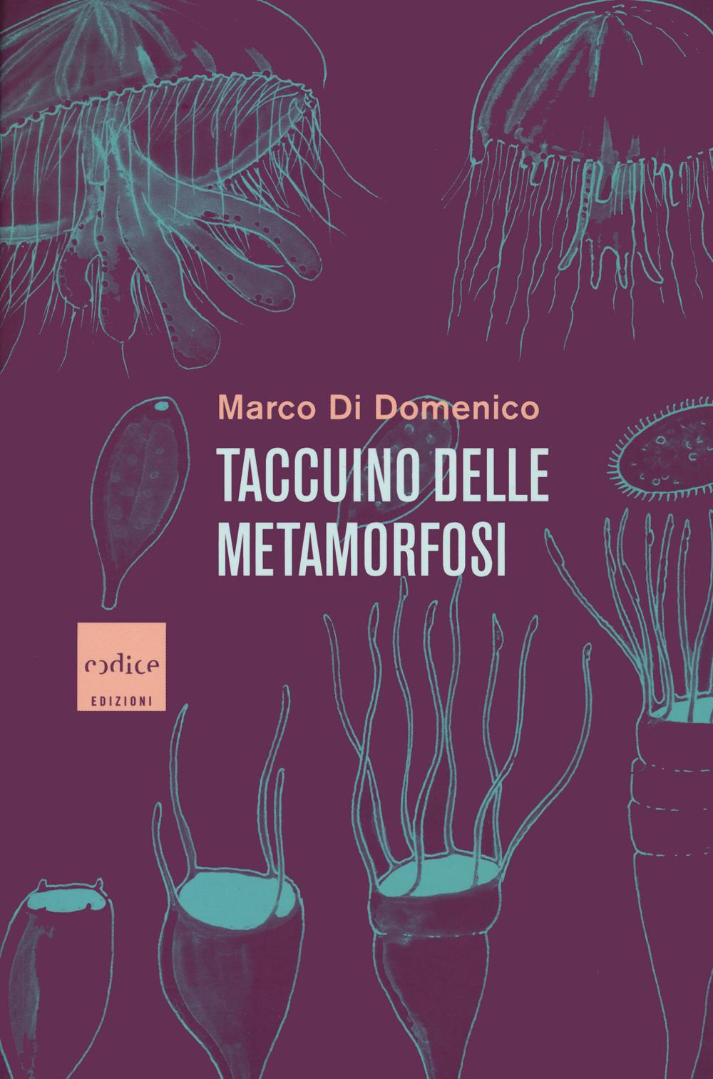 Vorderes Coverbild Taccuino delle metamorfosi