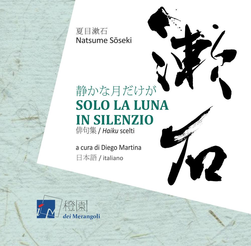 Vorderes Coverbild Solo la luna in silenzio