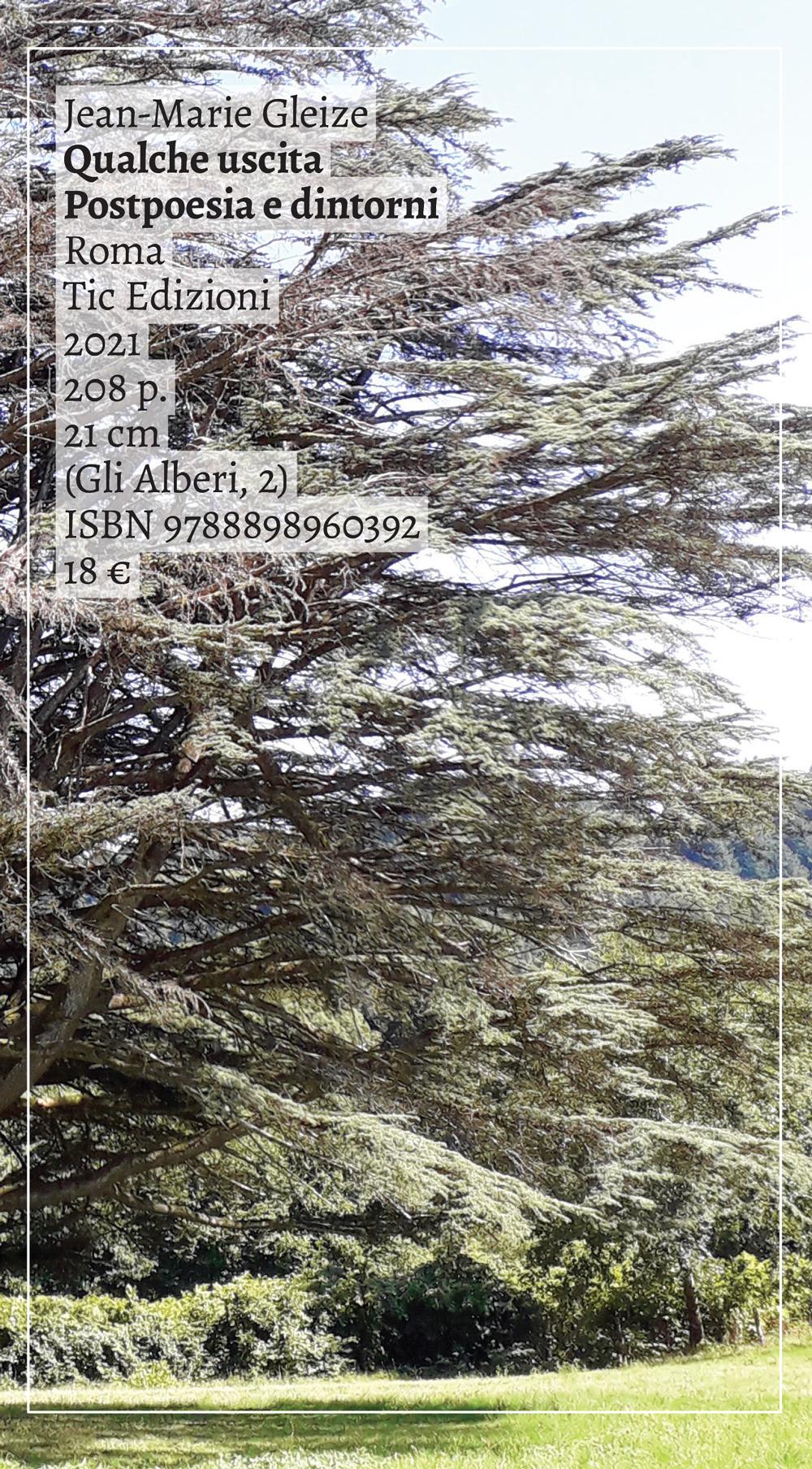 Vorderes Coverbild Qualche uscita. Postpoesia e dintorni