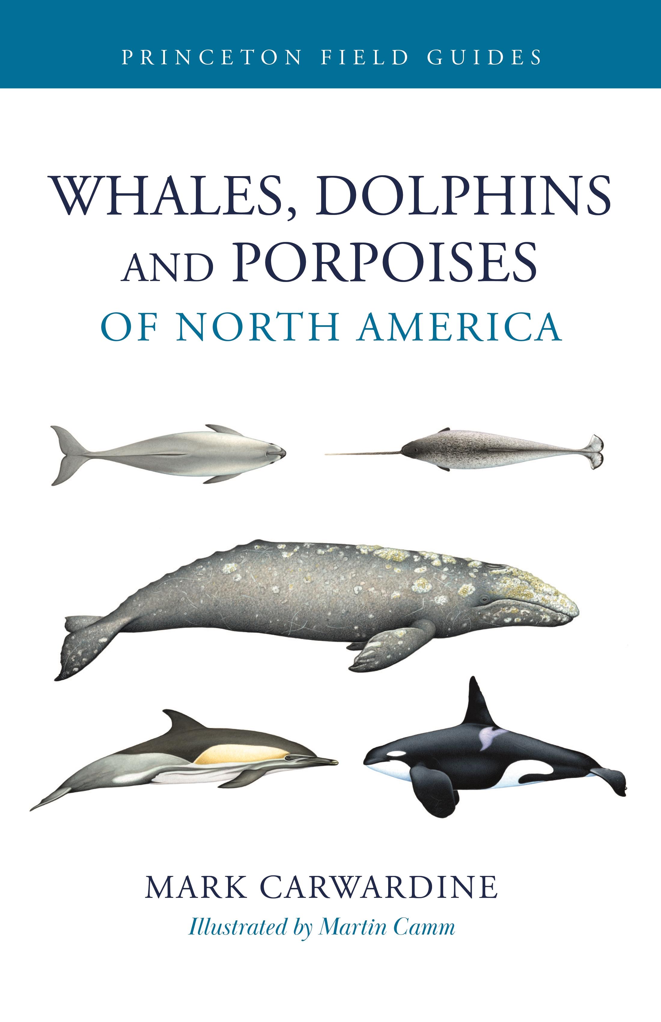 Vorderes Coverbild Whales, Dolphins, and Porpoises of North America