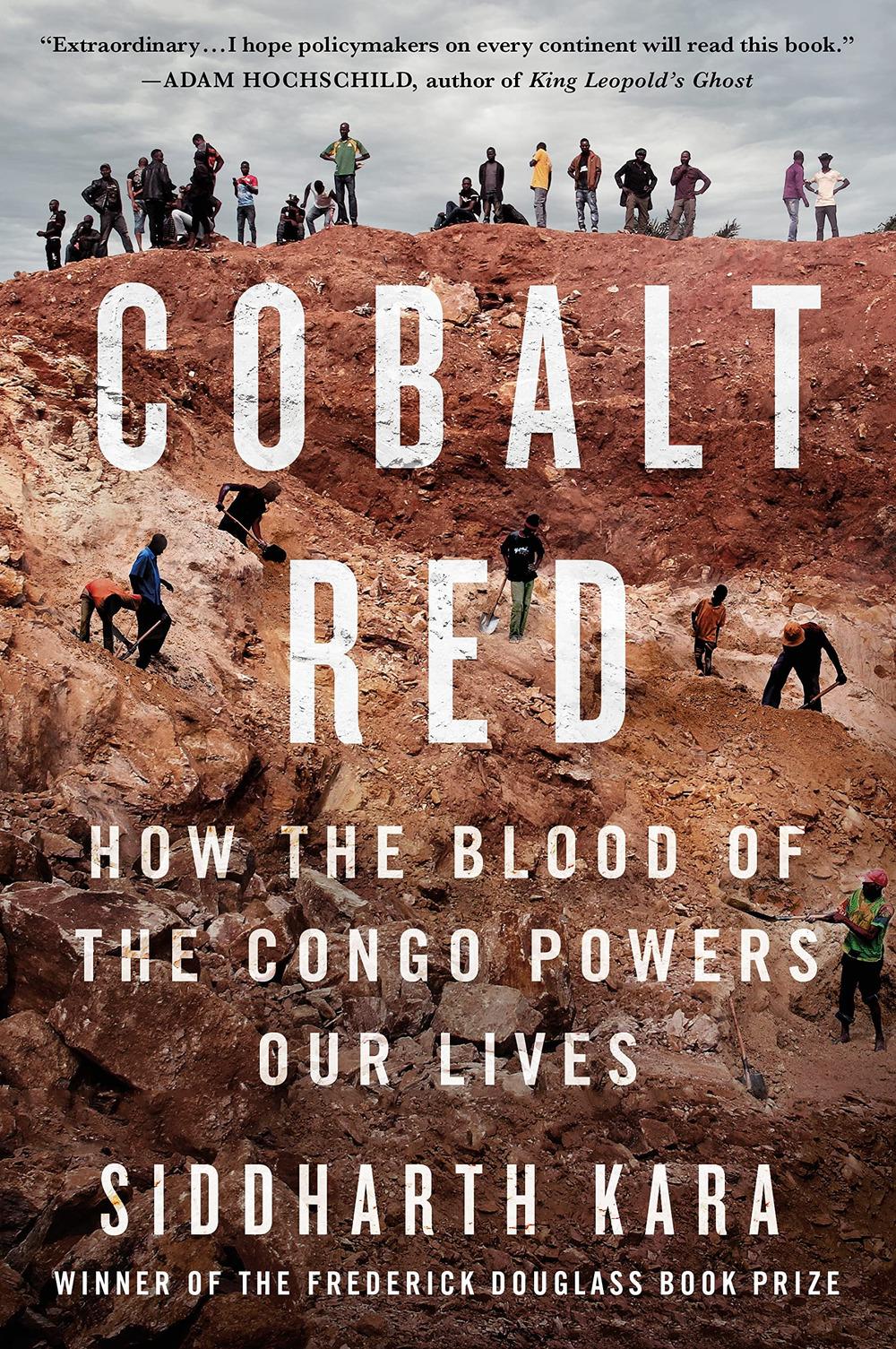 Vorderes Coverbild Rosso cobalto. Come il sangue del Congo alimenta le nostre vite