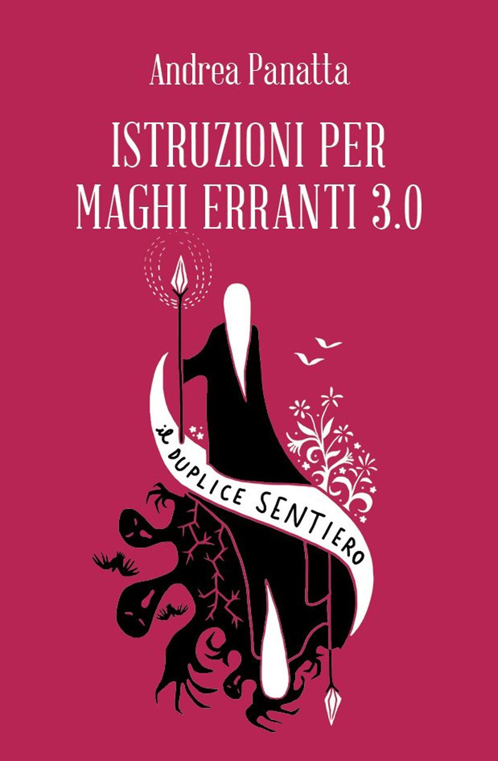 Vorderes Coverbild Istruzioni per maghi erranti 3.0. Il duplice sentiero